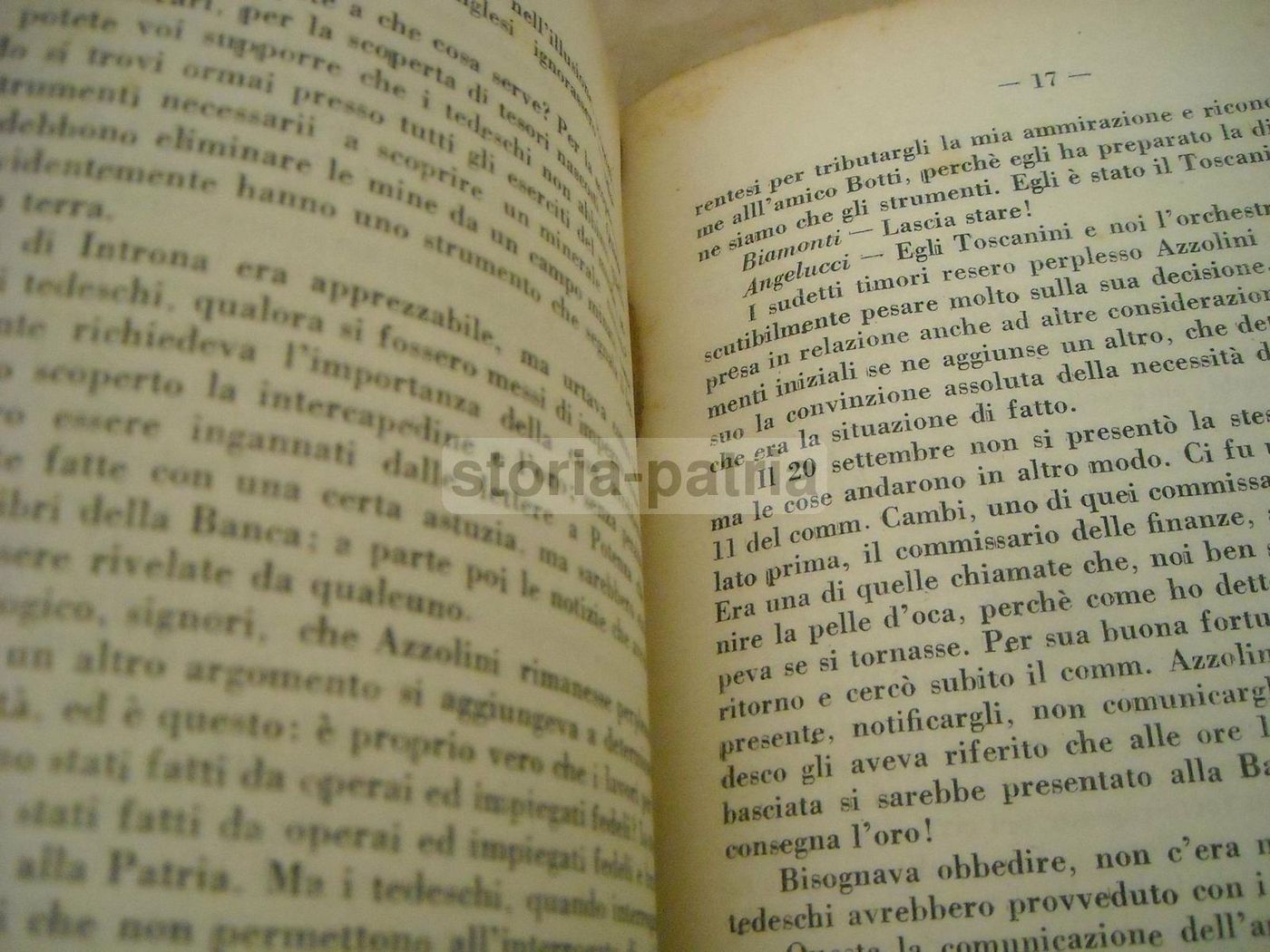 Il Processo Dell'Oro: La Difesa Di Vincenzo Azzolini (1948)