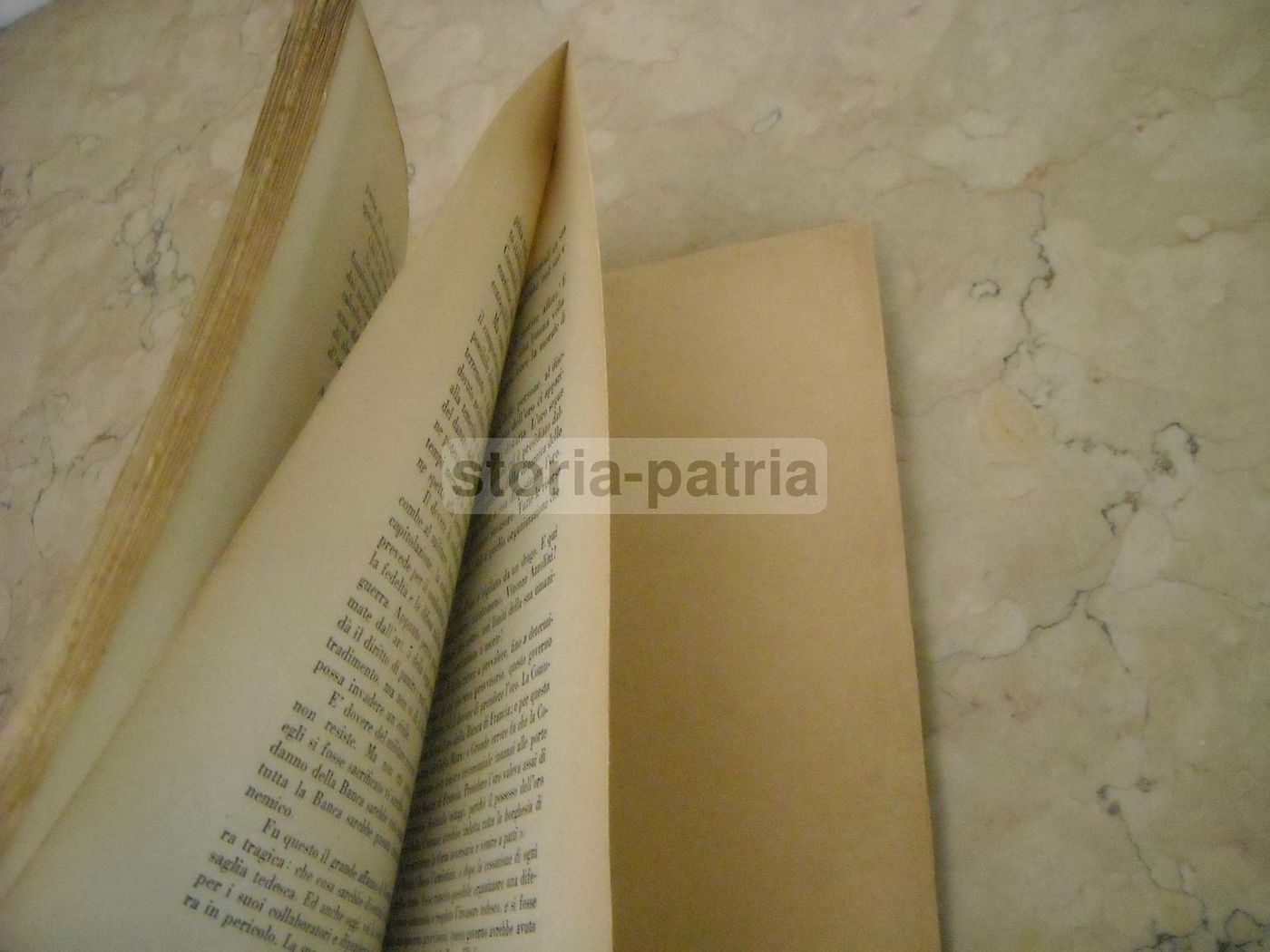 Il Processo Dell'Oro: La Difesa Di Vincenzo Azzolini (1948)