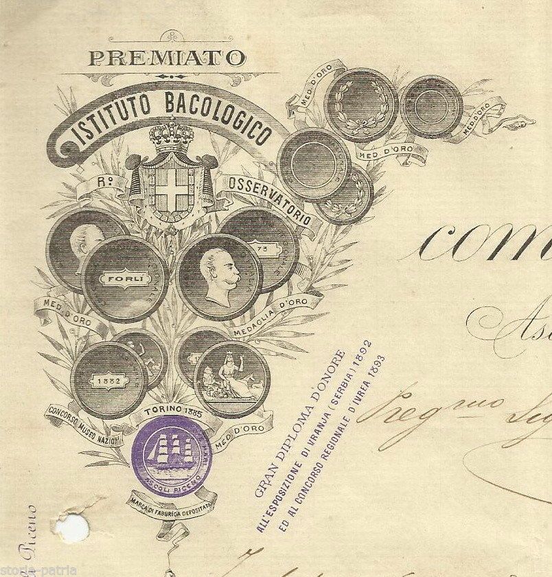 Carta Intestata Istituto Bacologico Ascoli Piceno 1896 Stemma Savoia