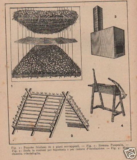 Lezioni Di Bachicoltura, Remo Grandori, 1949, Baco Da Seta, Manuale