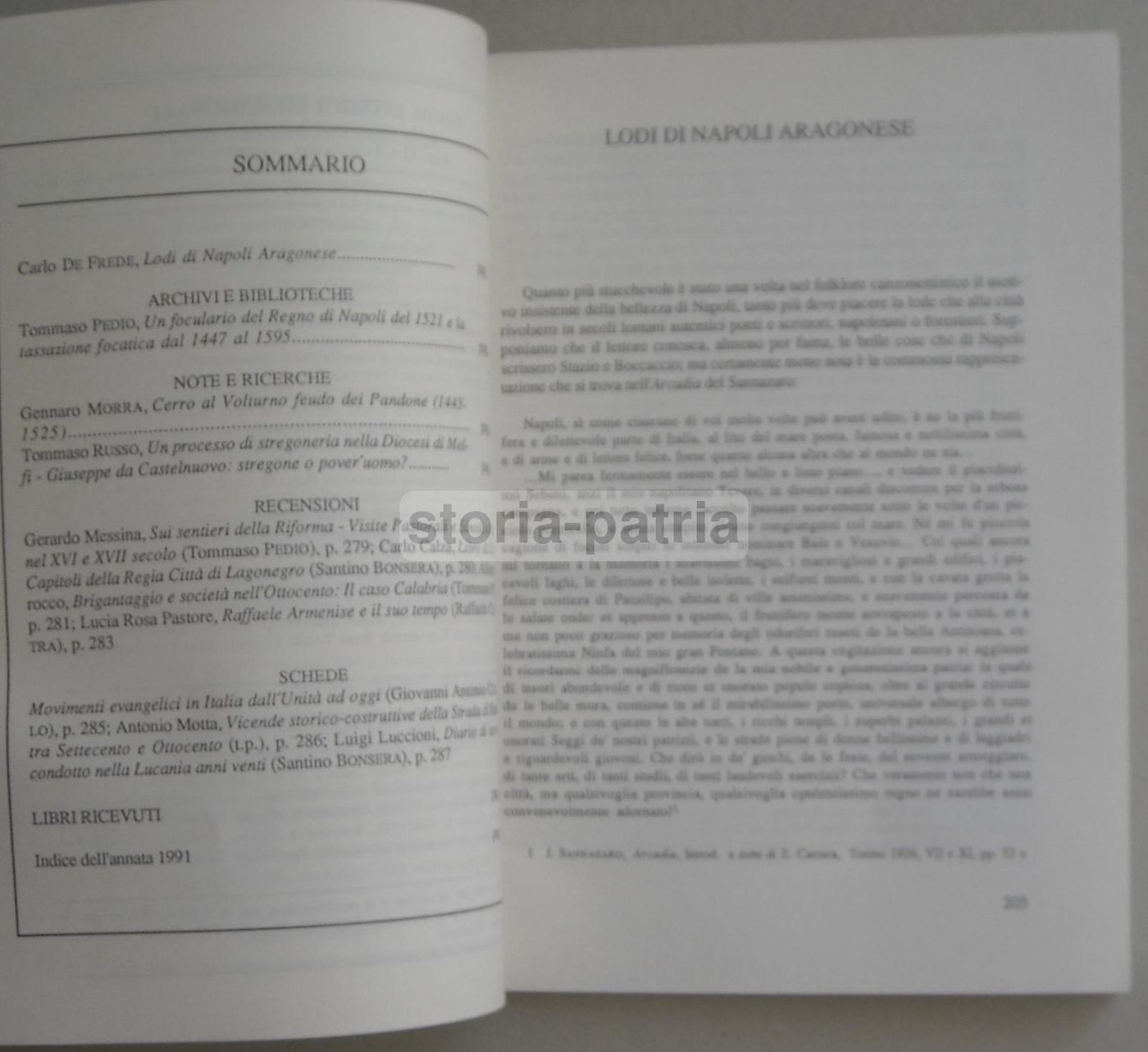 Studi Storici Meridionali 1991: Basilicata, Molise, Calabria, Napoli
