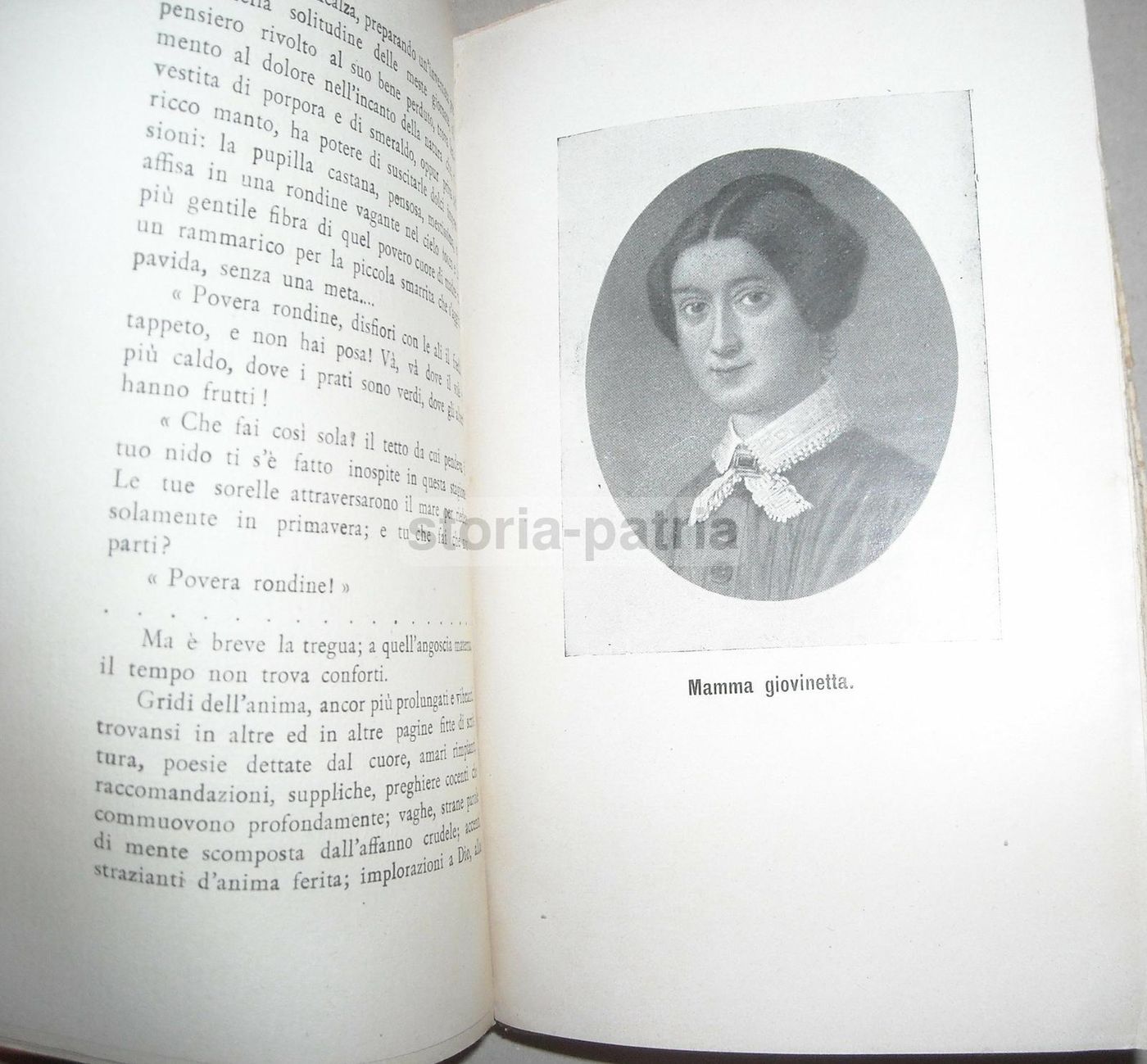 Tommasina Guidi: Nella Vita E Nell'Arte. Biografia E Bibliografia (1912)