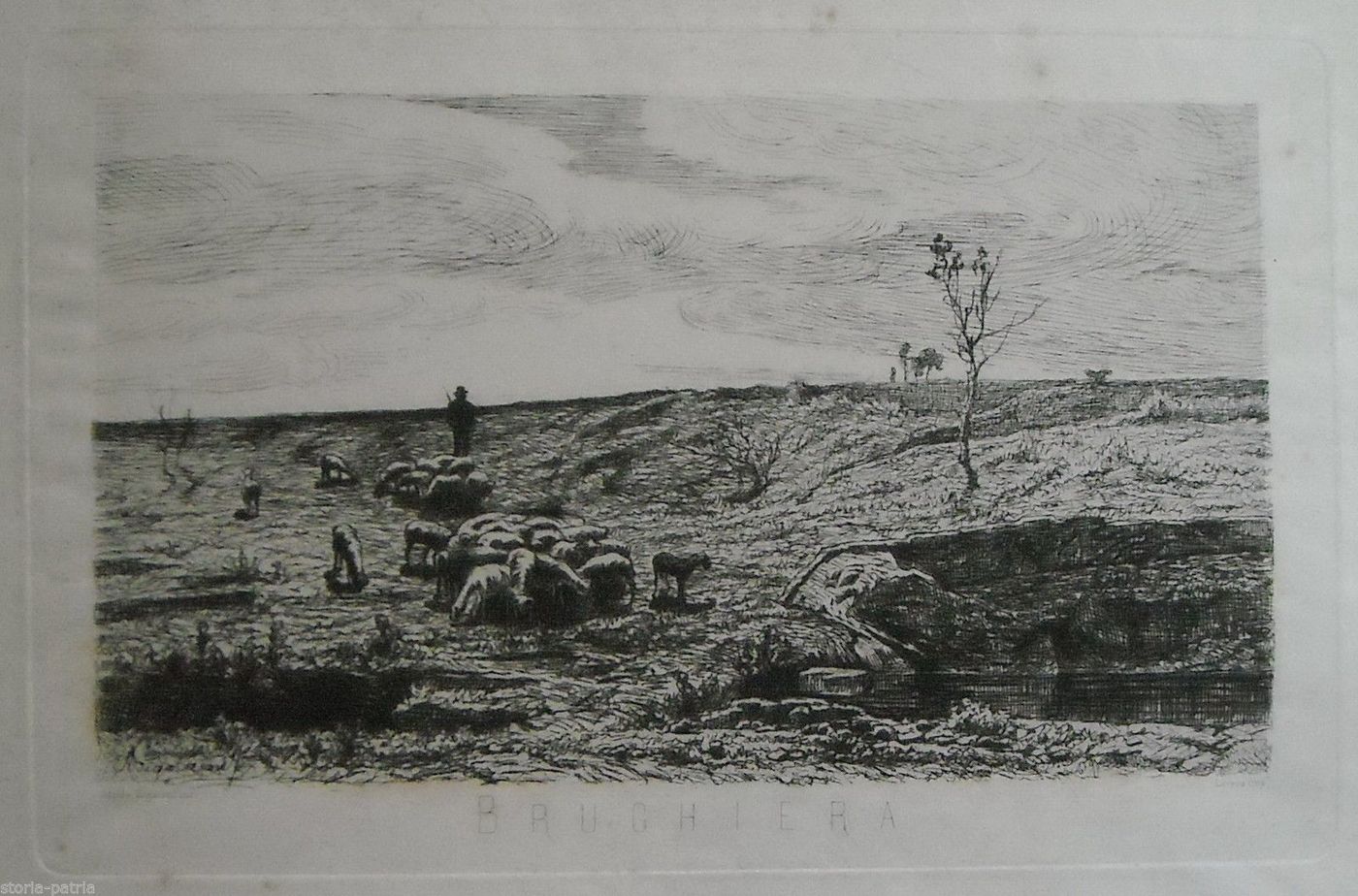 Incisione Acquaforte Adolfo Bignami "Brughiera", Fine '800