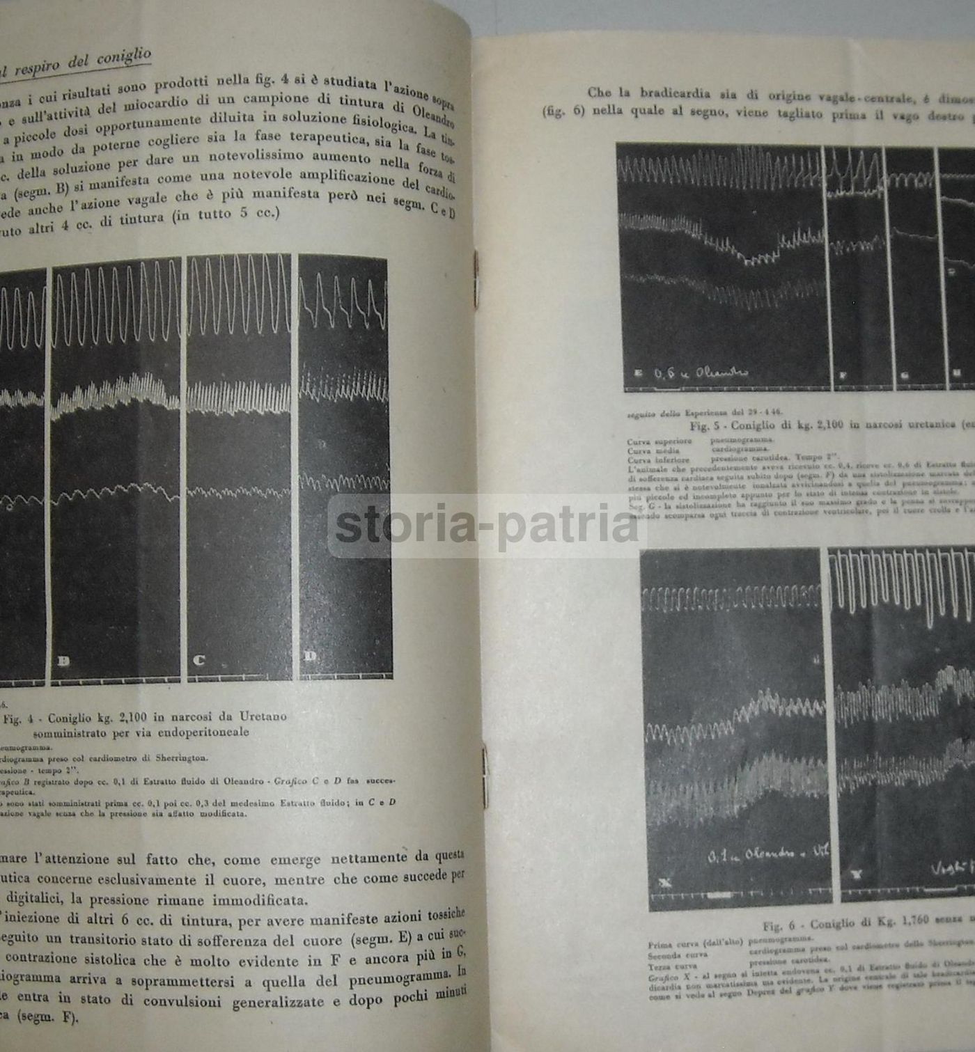 Ricerche Farmacologiche Sull'Oleandro (Nerium Oleander), Mario Aiazzi Mancini, 1946