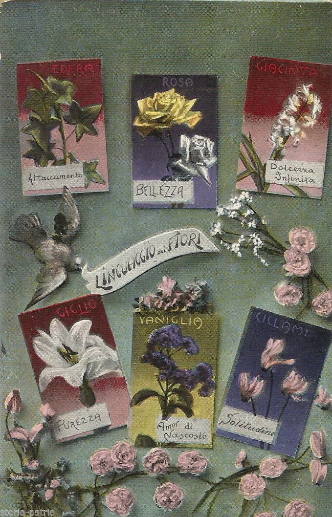 Cartolina Antica: Linguaggio Dei Fiori, Anni '20, AGM