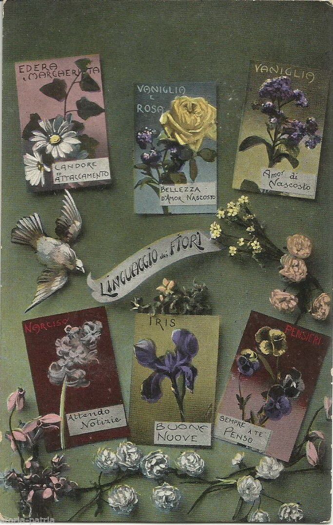 Cartolina Antica: Il Linguaggio Dei Fiori, AGM, Circa 1920