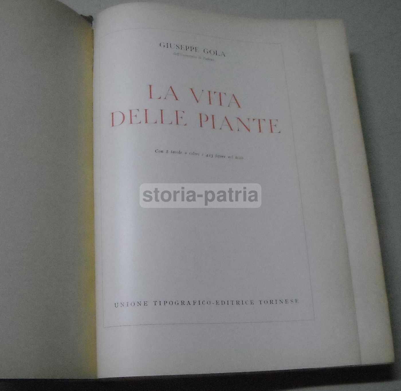 La Vita Delle Piante Di Giuseppe Gola Utet 1951 Botanica Illustrata