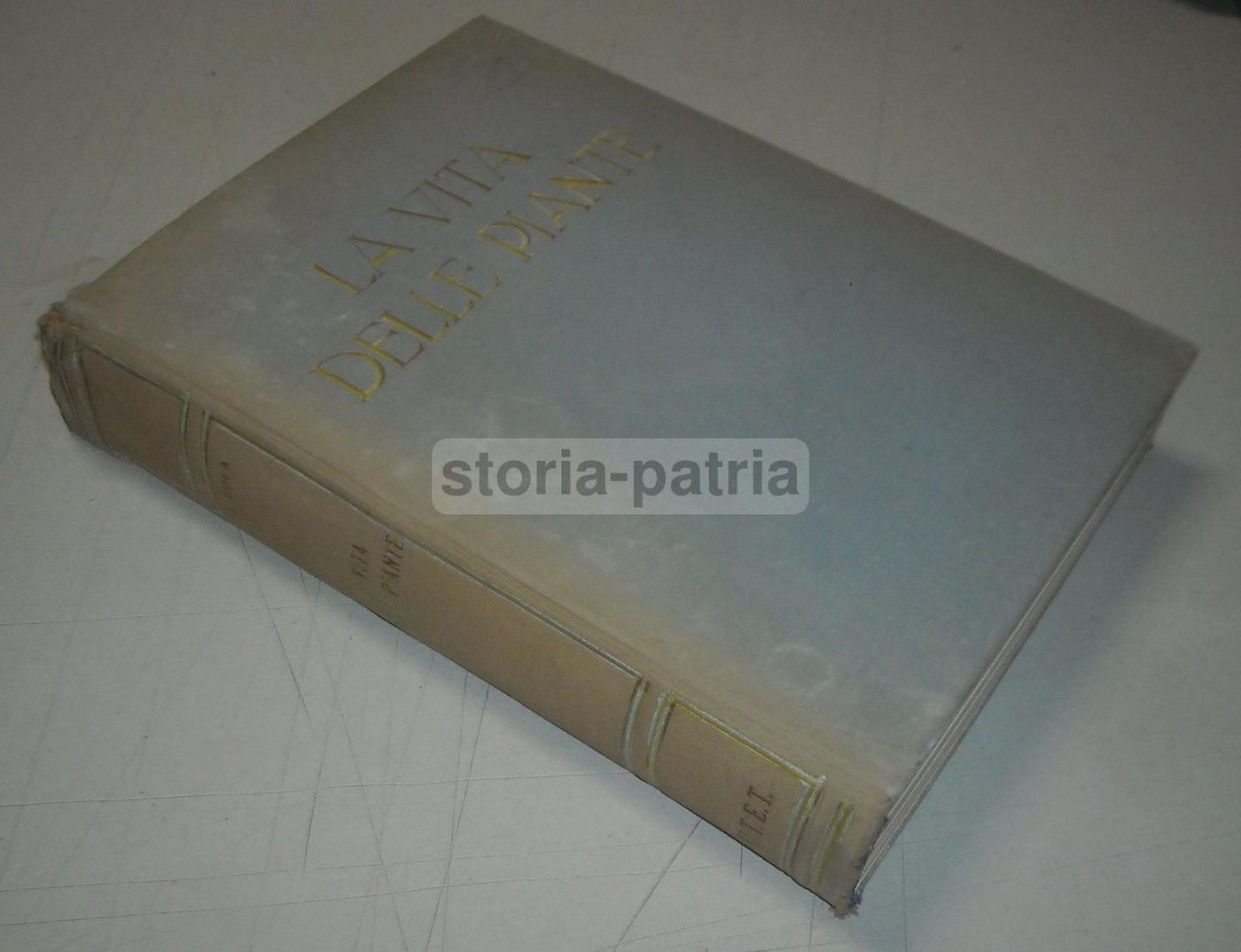 La Vita Delle Piante Di Giuseppe Gola Utet 1951 Botanica Illustrata