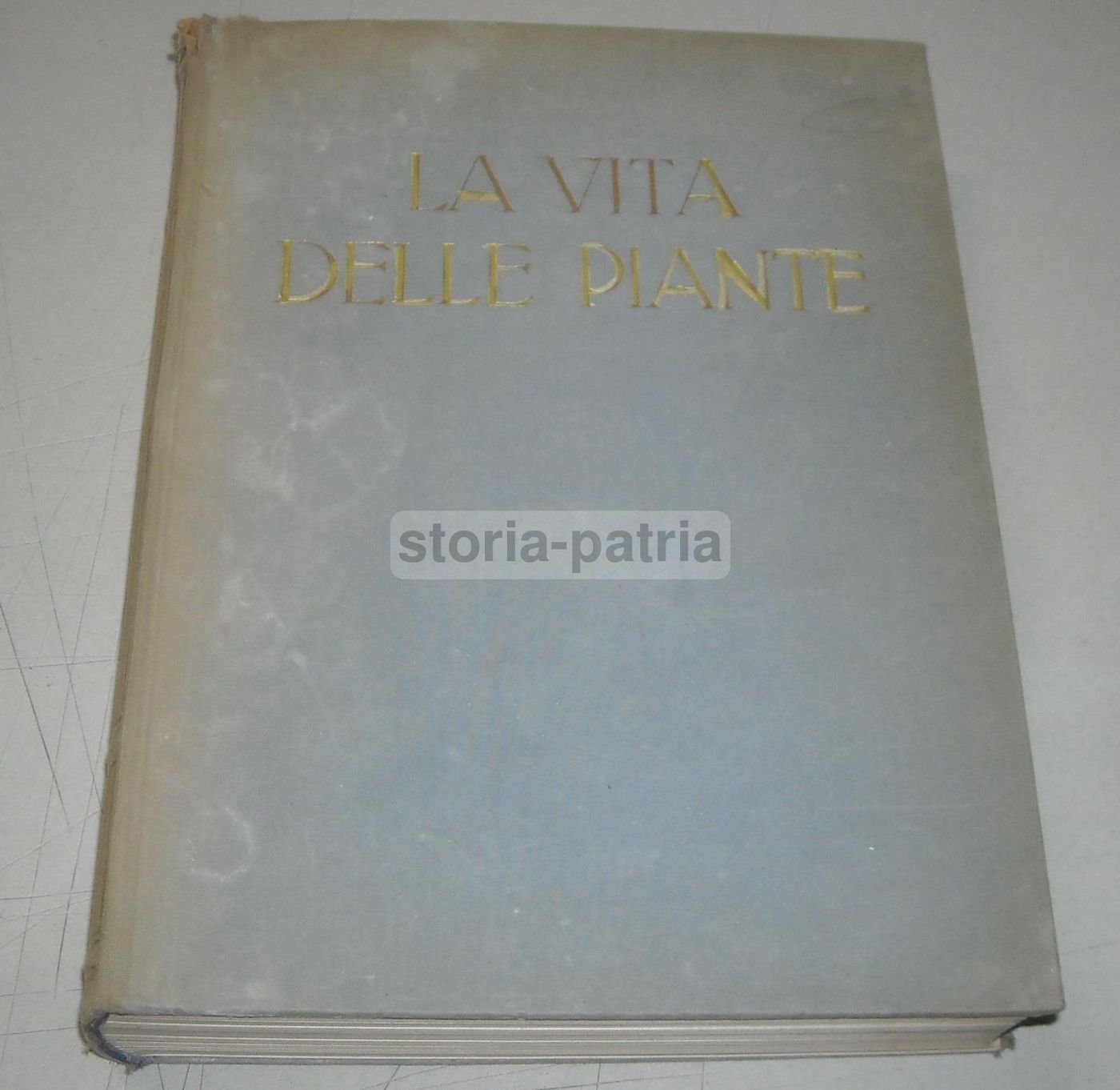 La Vita Delle Piante Di Giuseppe Gola Utet 1951 Botanica Illustrata