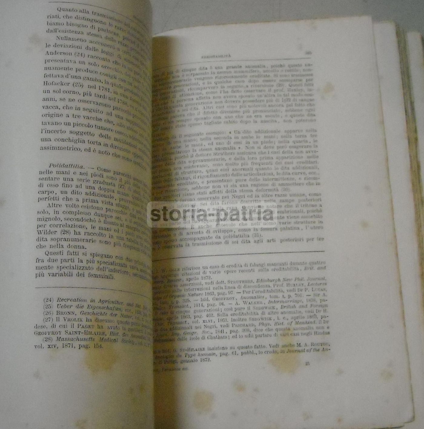 Variazione Degli Animali E Delle Piante Allo Stato Domestico   Carlo Darwin   Torino