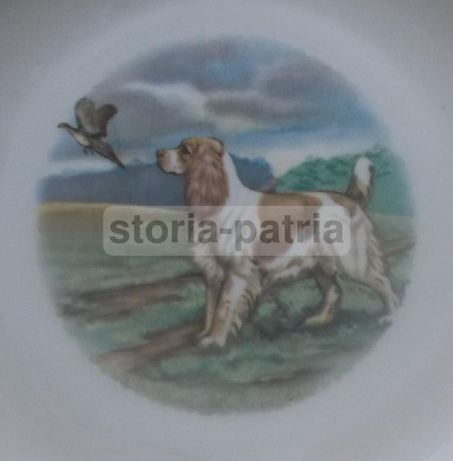 Piatto In Porcellana Krautheim Selb Bavaria Con Scena Di Caccia Anni '50