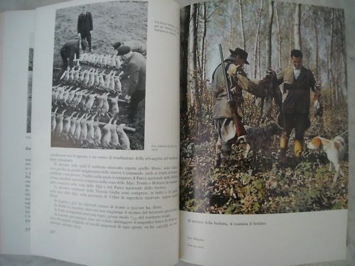 La Caccia Di Alessandro Ghigi (UTET 1963) Volume Illustrato