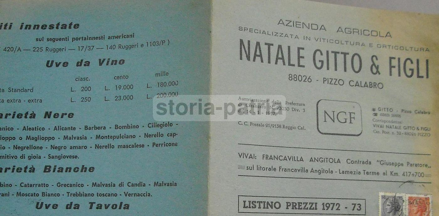 Depliant Pubblicitario Azienda Agricola Gitto, Pizzo Calabro 1972