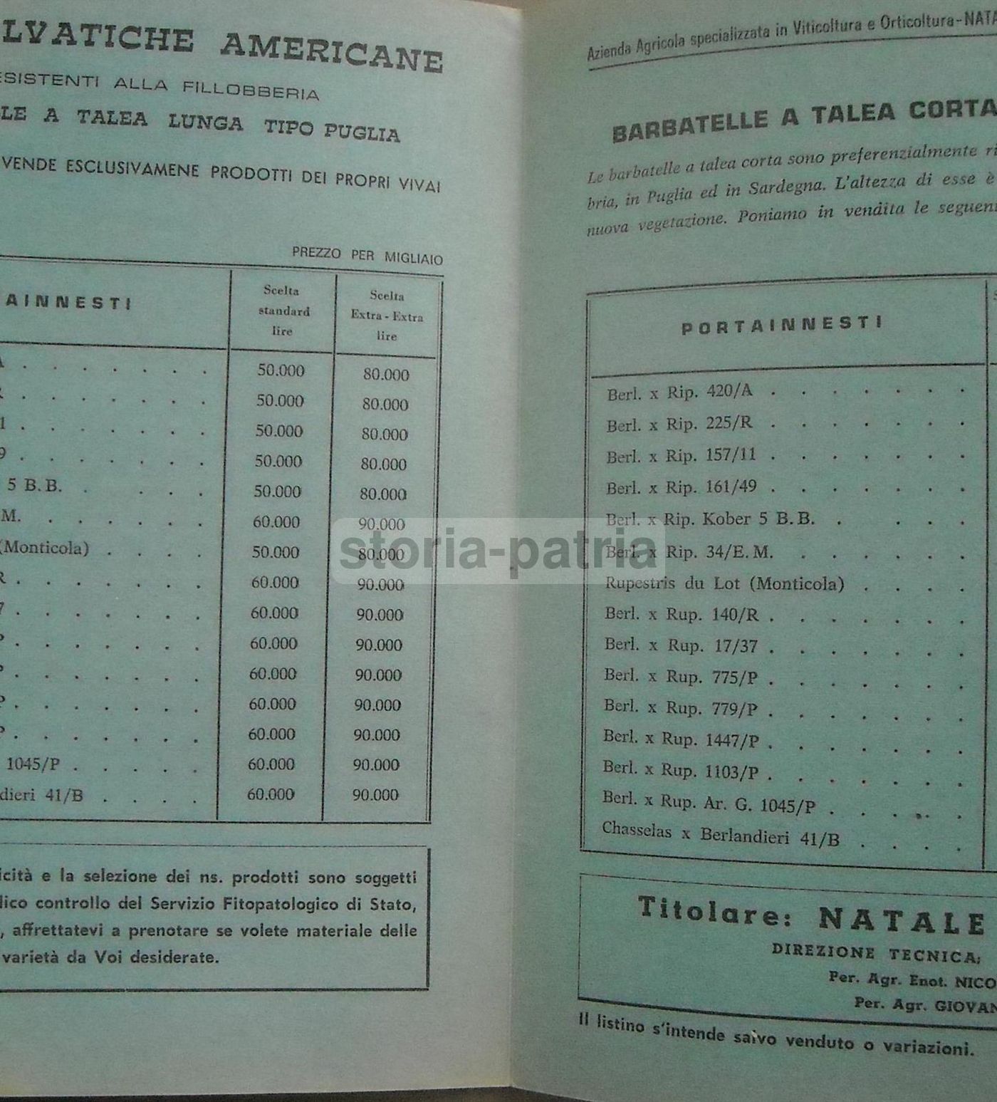 Depliant Pubblicitario Azienda Agricola Gitto, Pizzo Calabro 1972