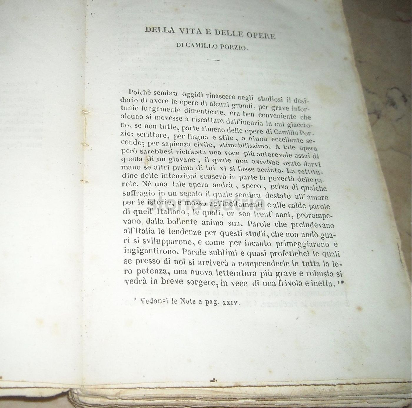 Opere Di Camillo Porzio: La Congiura Dei Baroni E Relazione Del Regno Di Napoli (1853)