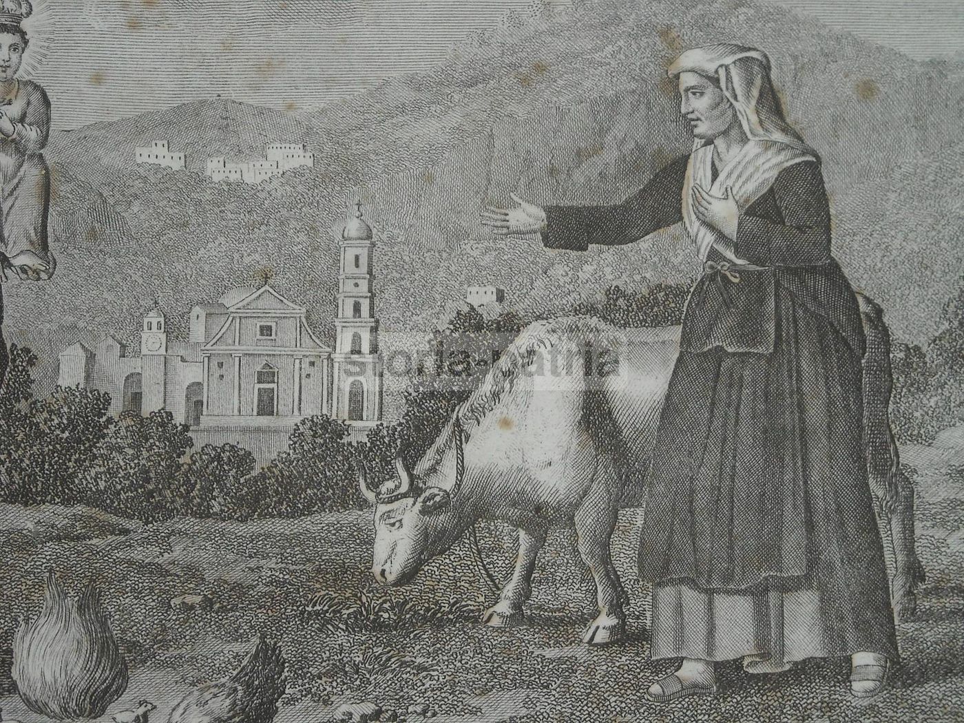 Stampa Antica S. Maria Del Lauro, Meta, Sorrento, Aloja, XIX Secolo