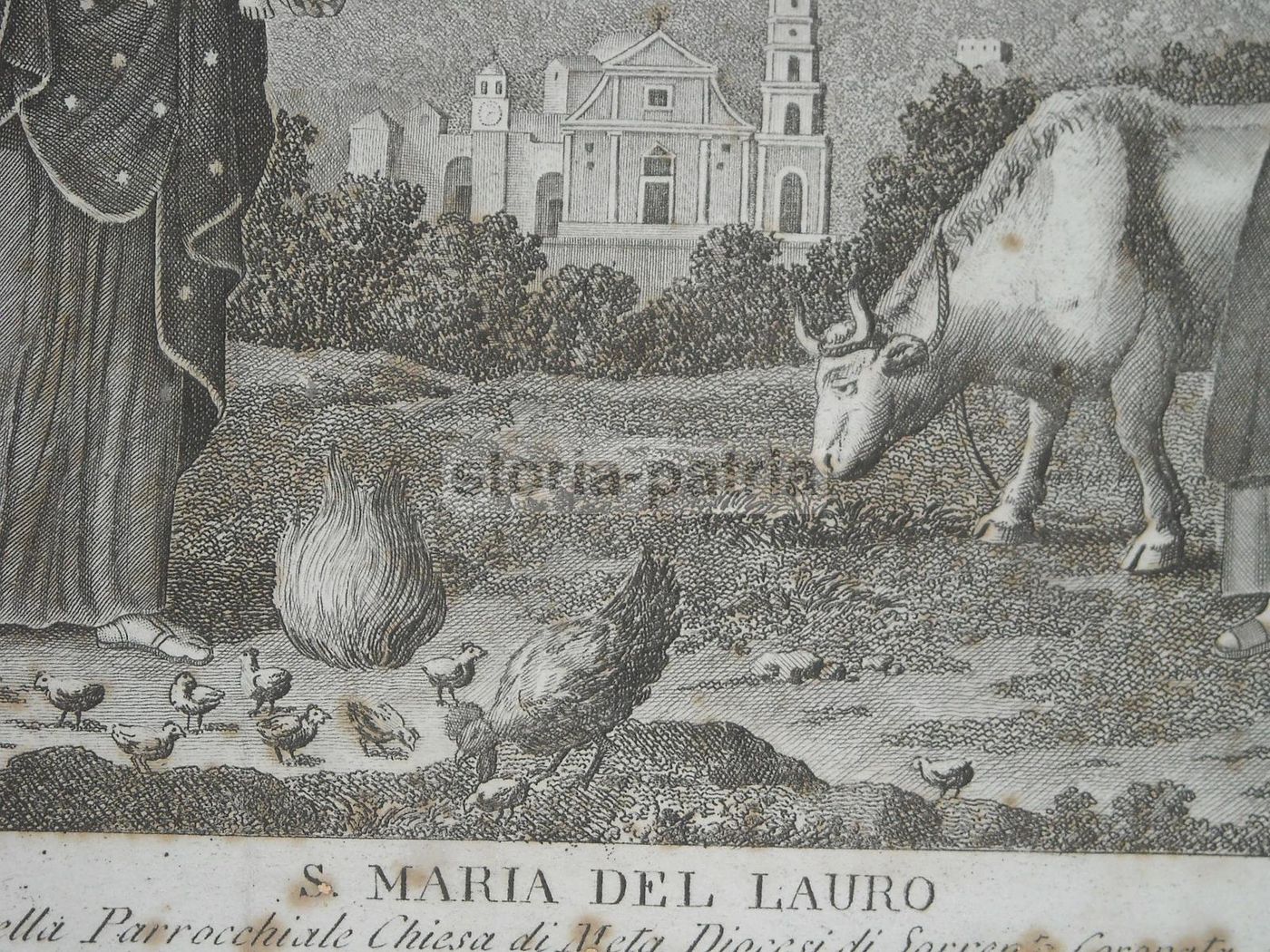 Stampa Antica S. Maria Del Lauro, Meta, Sorrento, Aloja, XIX Secolo