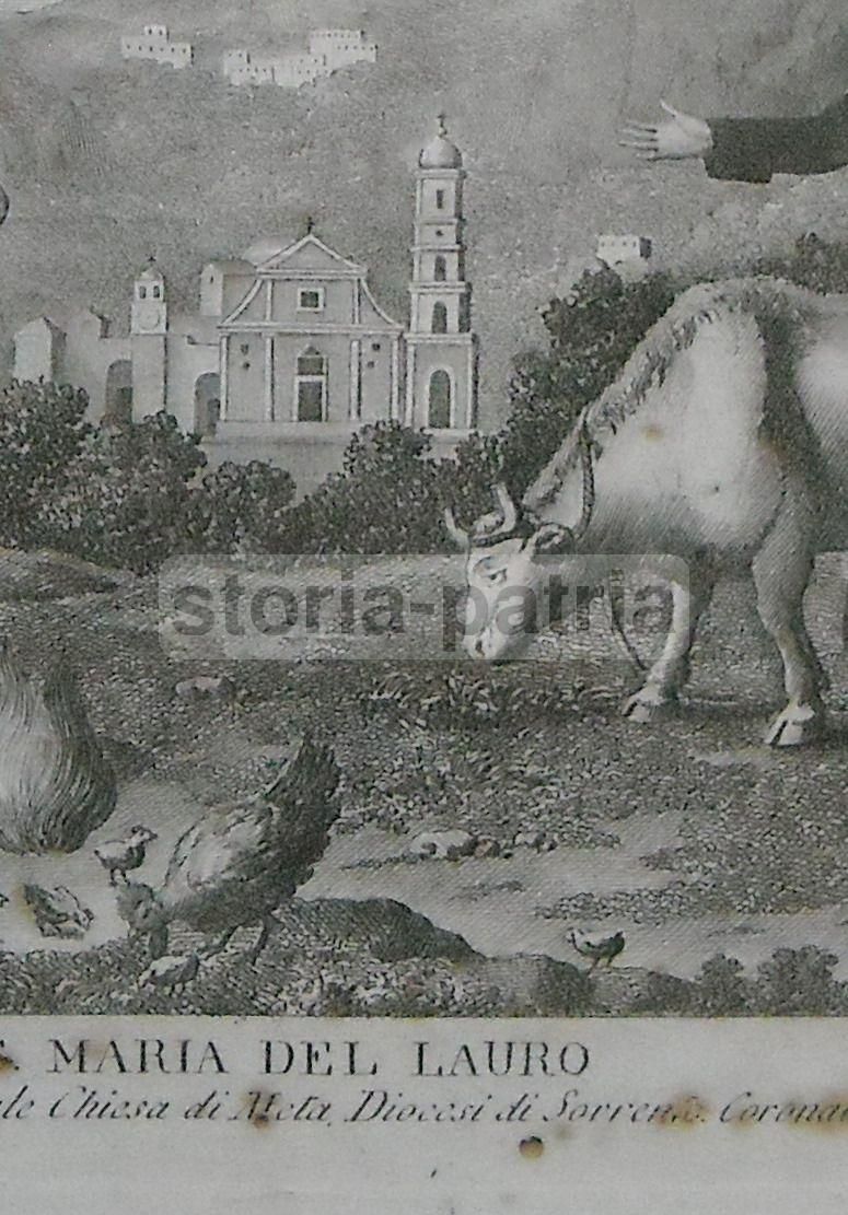 Stampa Antica S. Maria Del Lauro, Meta, Sorrento, Aloja, XIX Secolo