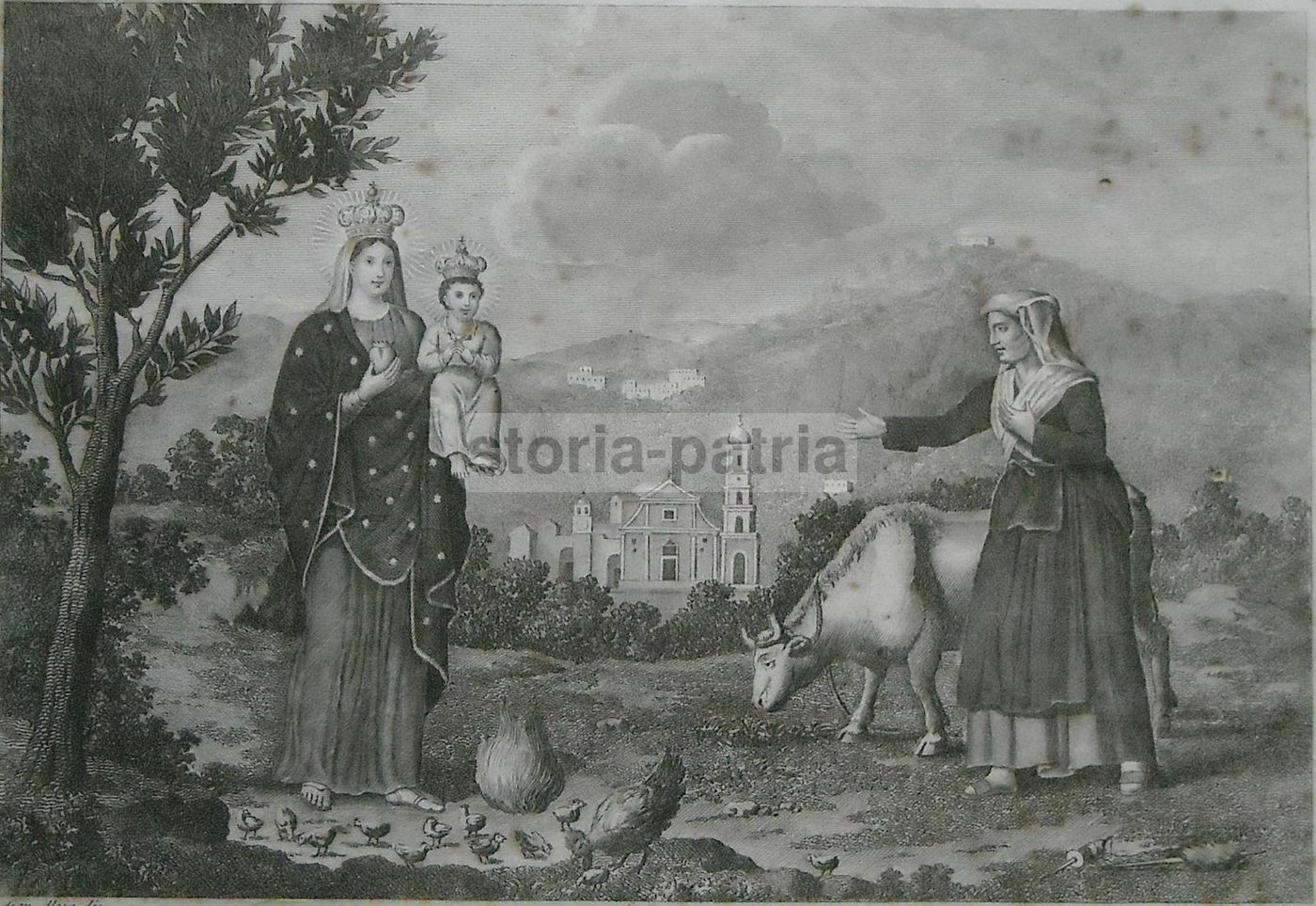 Stampa Antica S. Maria Del Lauro, Meta, Sorrento, Aloja, XIX Secolo