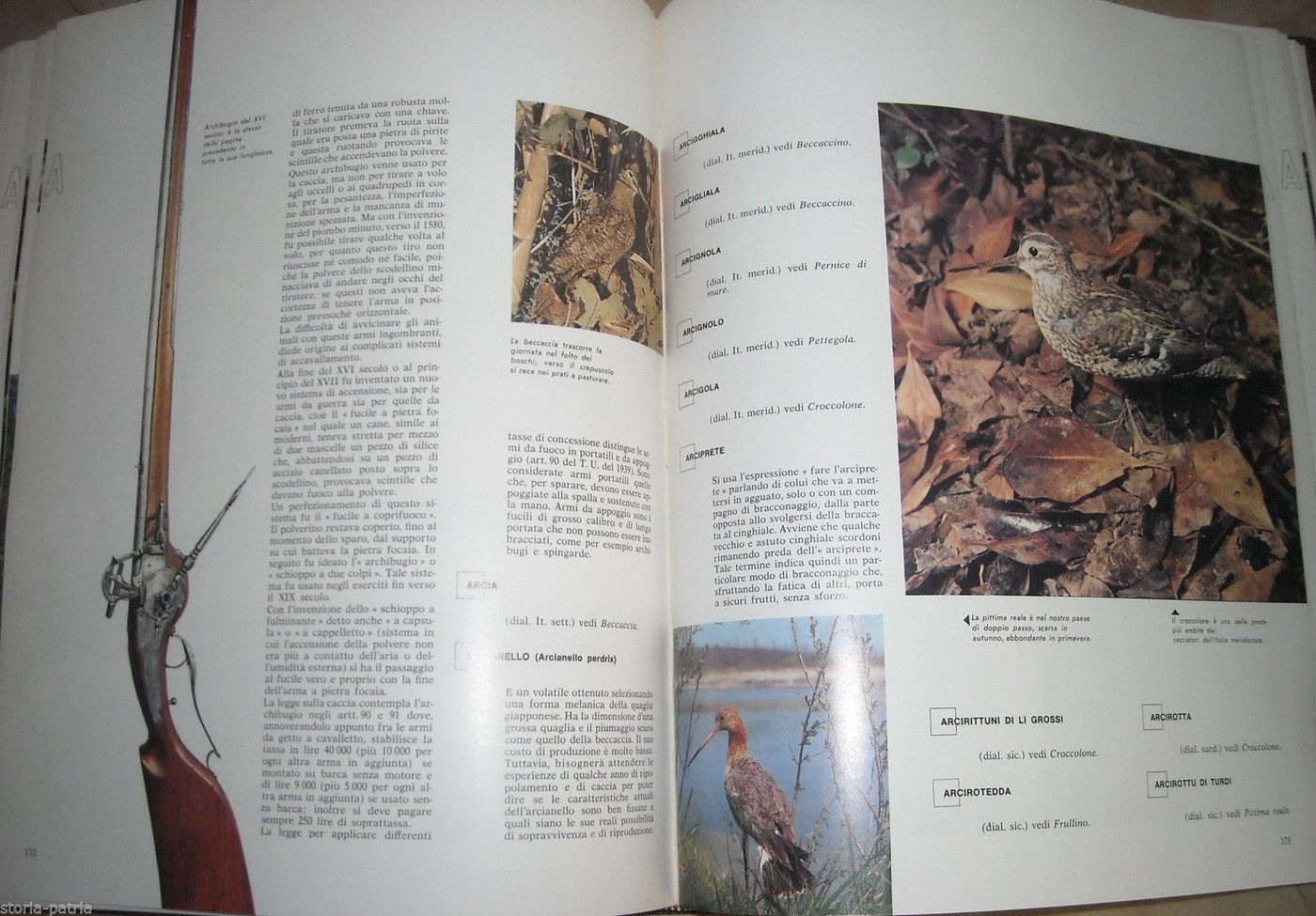Enciclopedia Del Cacciatore: 8 Volumi, Cani E Selvaggina (1967)
