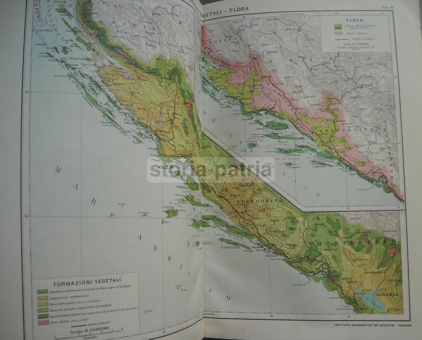 Atlante Dalmazia 1918, Giotto Dainelli. Cartografia Di Croazia, Zara E Spalato
