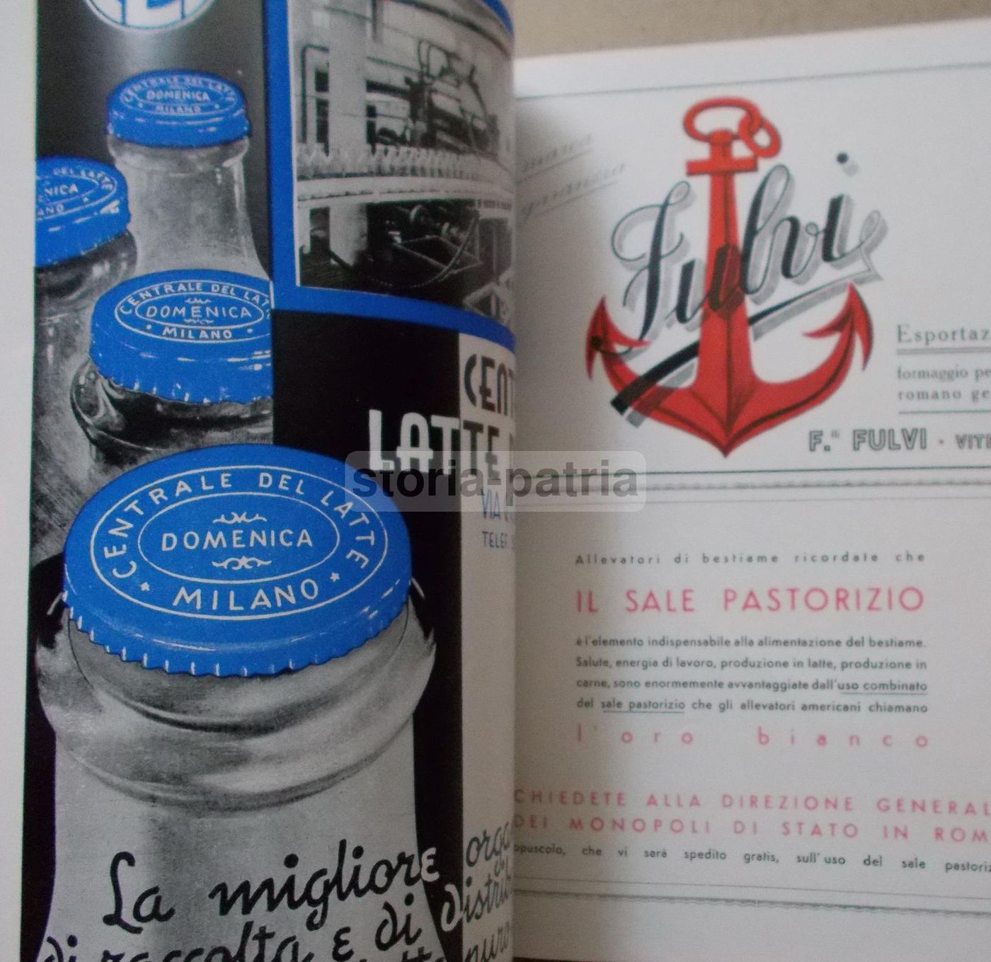 Rivista Latte E Latticini Lodi 1936   Caseificio E Industria Alimentare