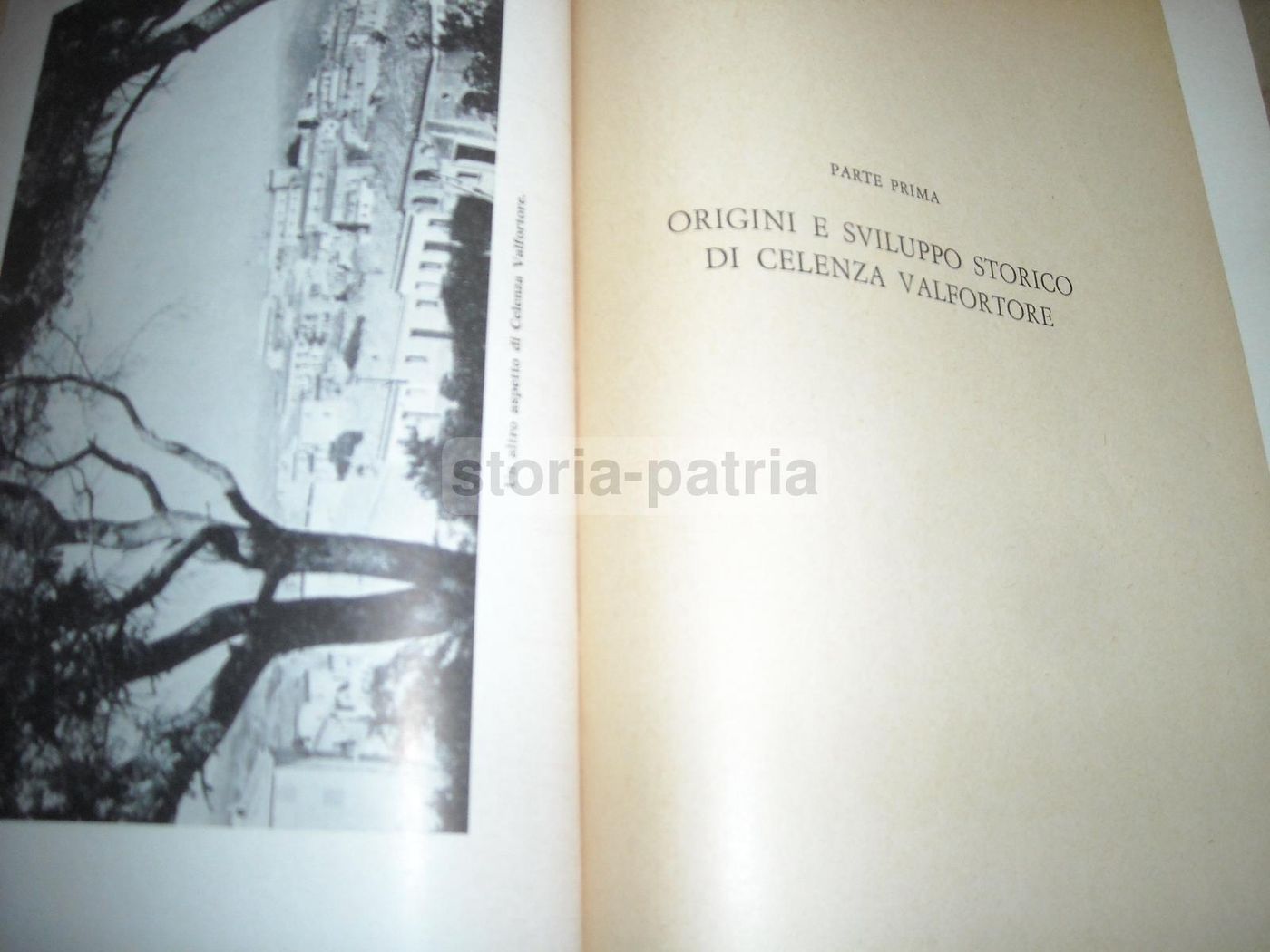 Celenza Valfortore: Storia Locale, Araldica E Cronistoria (1965)