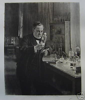 Stampa Antica Pasteur: Laboratorio Scientifico, Originale 1886