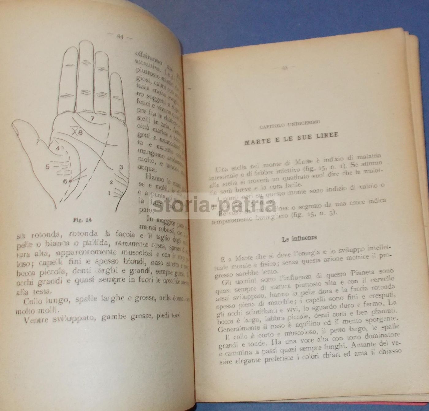 Chiromanzia Per Tutti Di Francis, Vallardi 1946, Astrologia