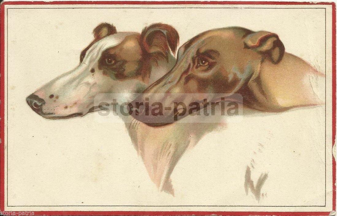 Cartolina Antica Illustrata Cani 1919 Viaggiata Filatelia