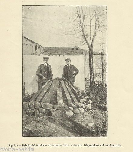 Coltivazione Del Tabacco, Michele Benincasa, 1907