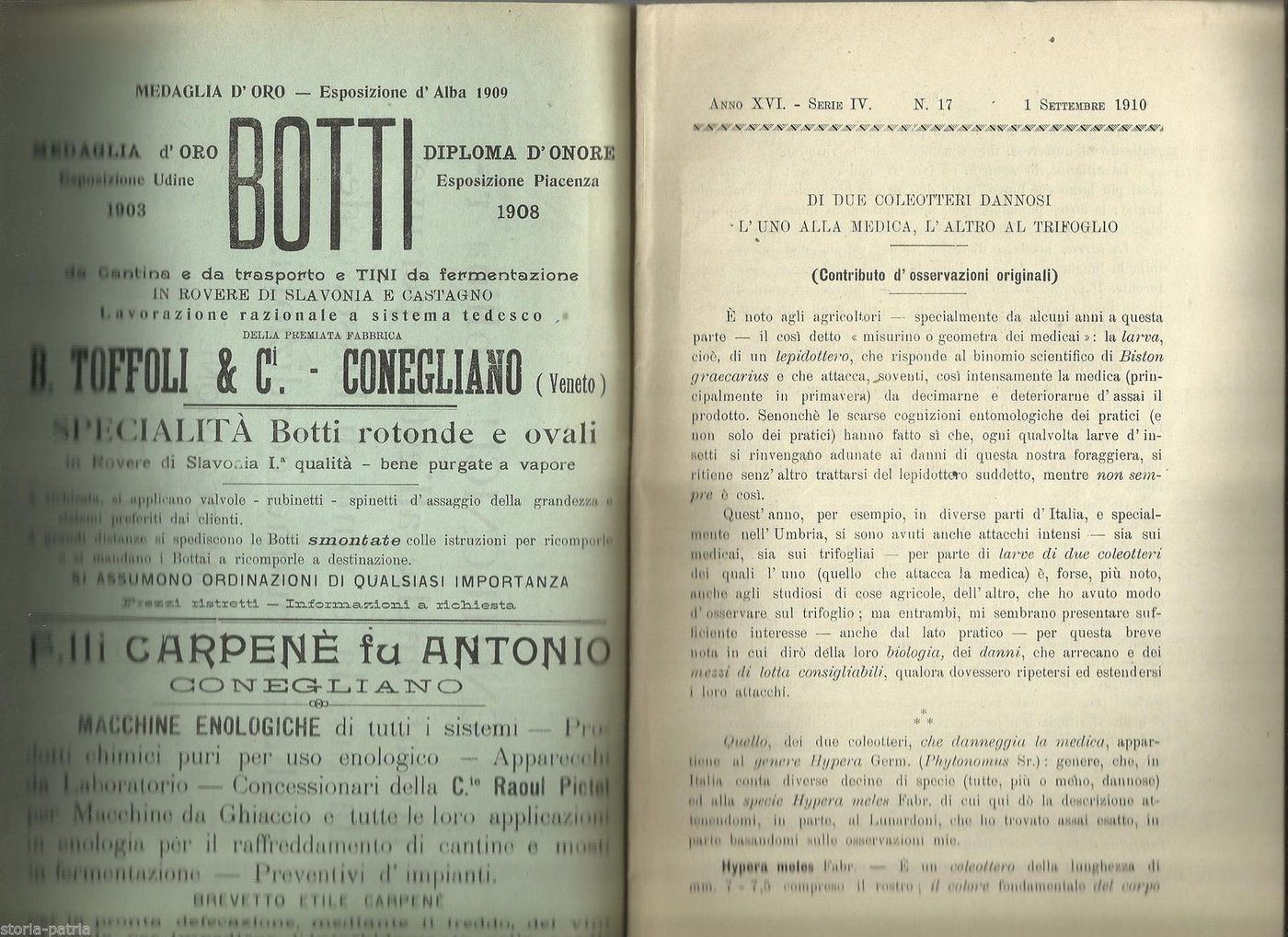 Rivista Enologia Conegliano 1910 Viticoltura Vino Uva Pubblicità