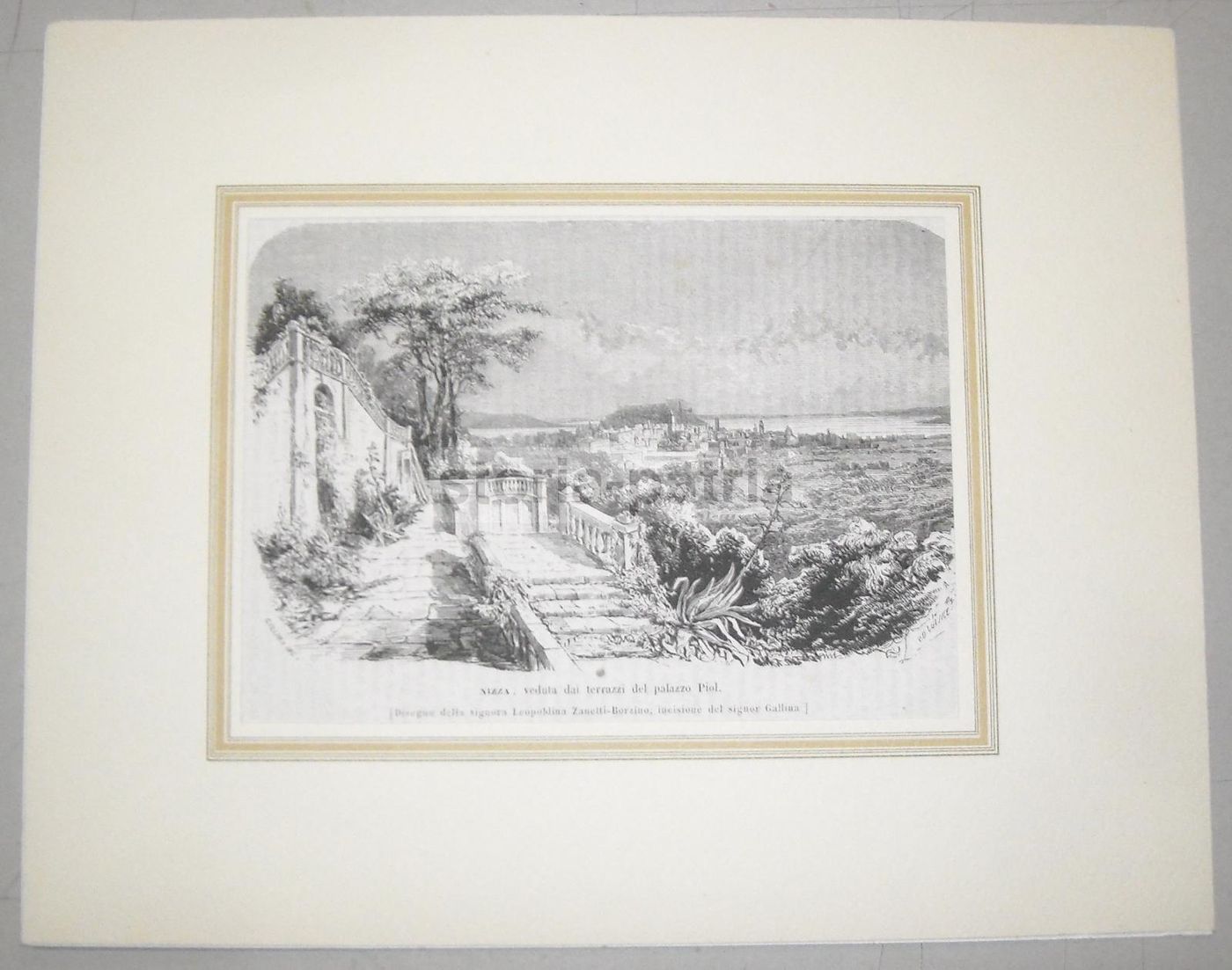 Nizza, Veduta Dai Terrazzi Del Palazzo Piol. Incisione Xilografica Di Gallina Su Disegno Di Leopoldina Zanetti Borzino, Metà XIX Secolo.