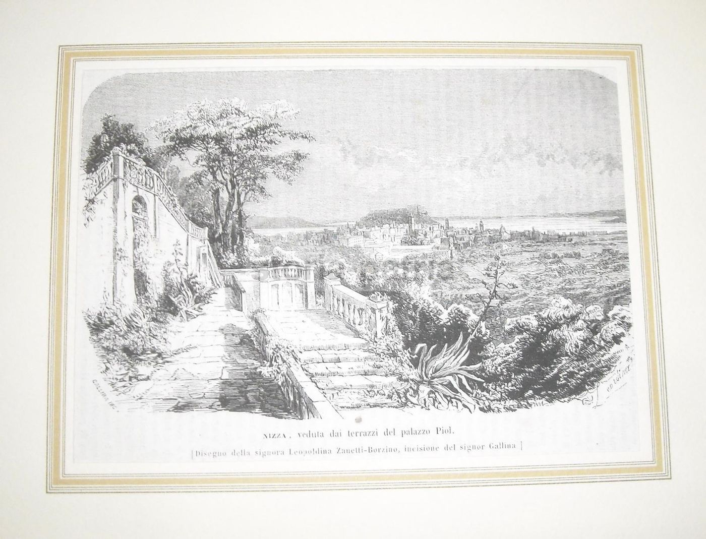 Nizza, Veduta Dai Terrazzi Del Palazzo Piol. Incisione Xilografica Di Gallina Su Disegno Di Leopoldina Zanetti Borzino, Metà XIX Secolo.