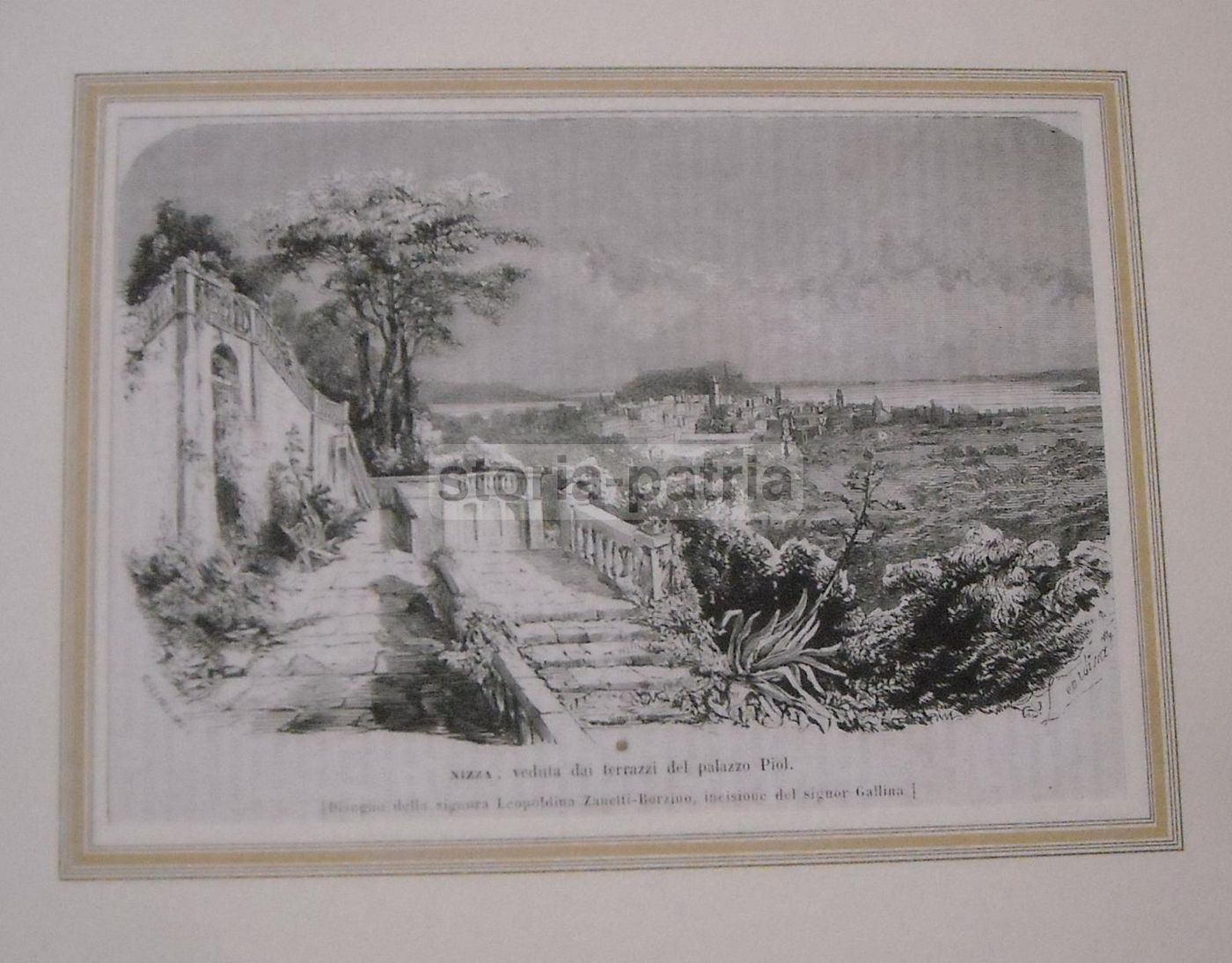 Nizza, Veduta Dai Terrazzi Del Palazzo Piol. Incisione Xilografica Di Gallina Su Disegno Di Leopoldina Zanetti Borzino, Metà XIX Secolo.