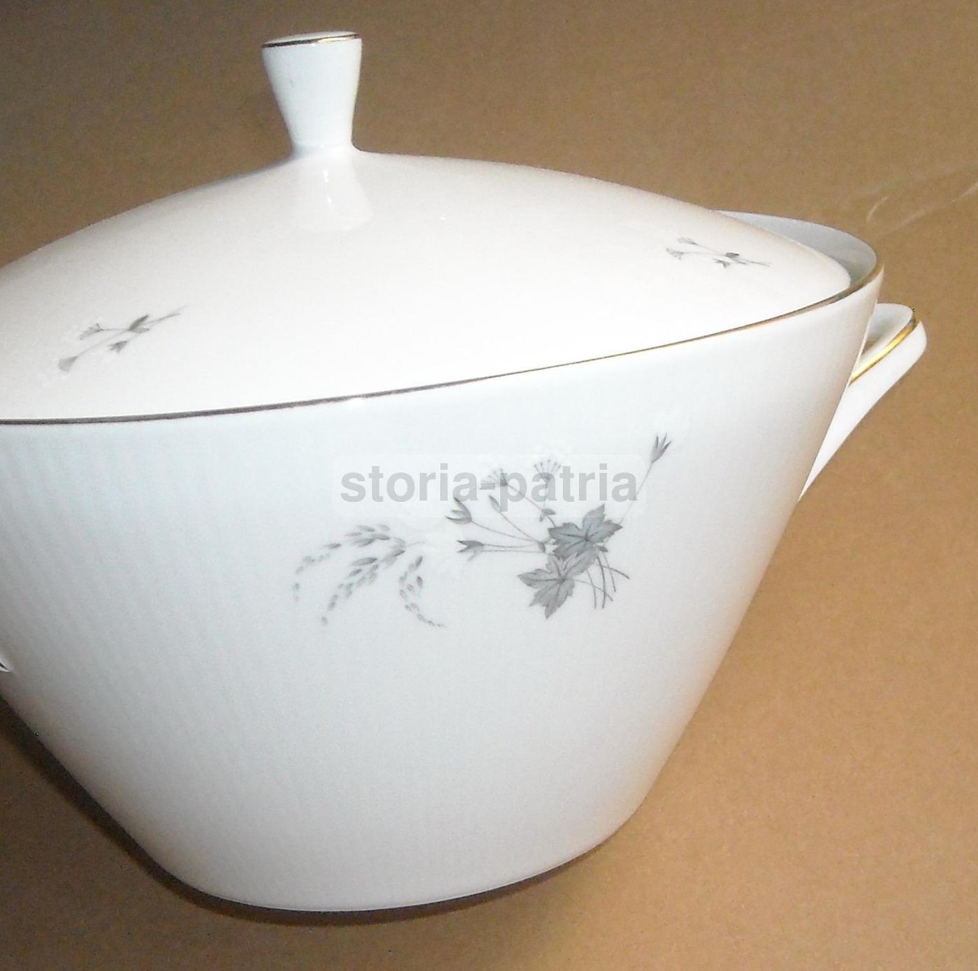 Zuppiera Porcellana Seltmann Weiden Bavaria Monika Decori Floreali