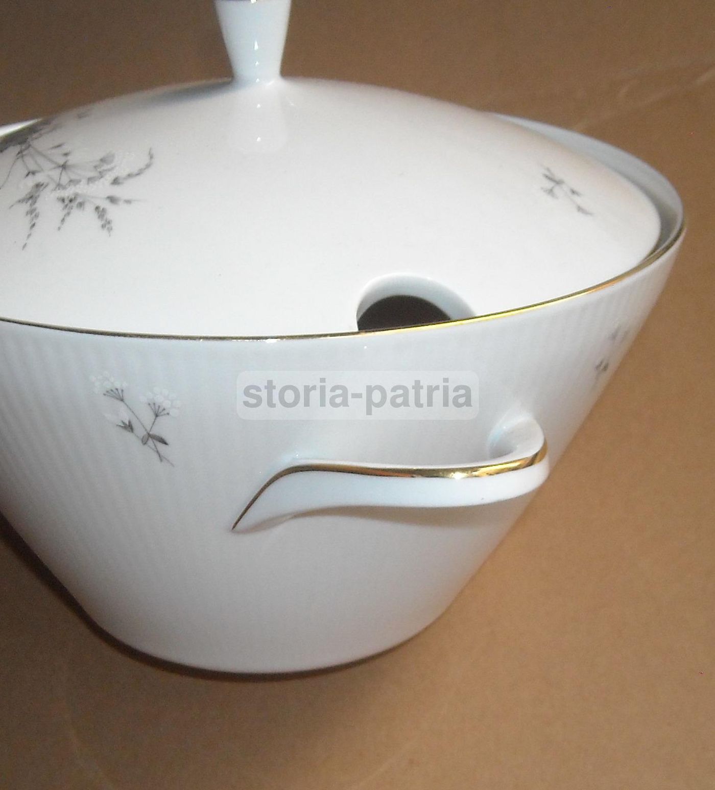 Zuppiera Porcellana Seltmann Weiden Bavaria Monika Decori Floreali