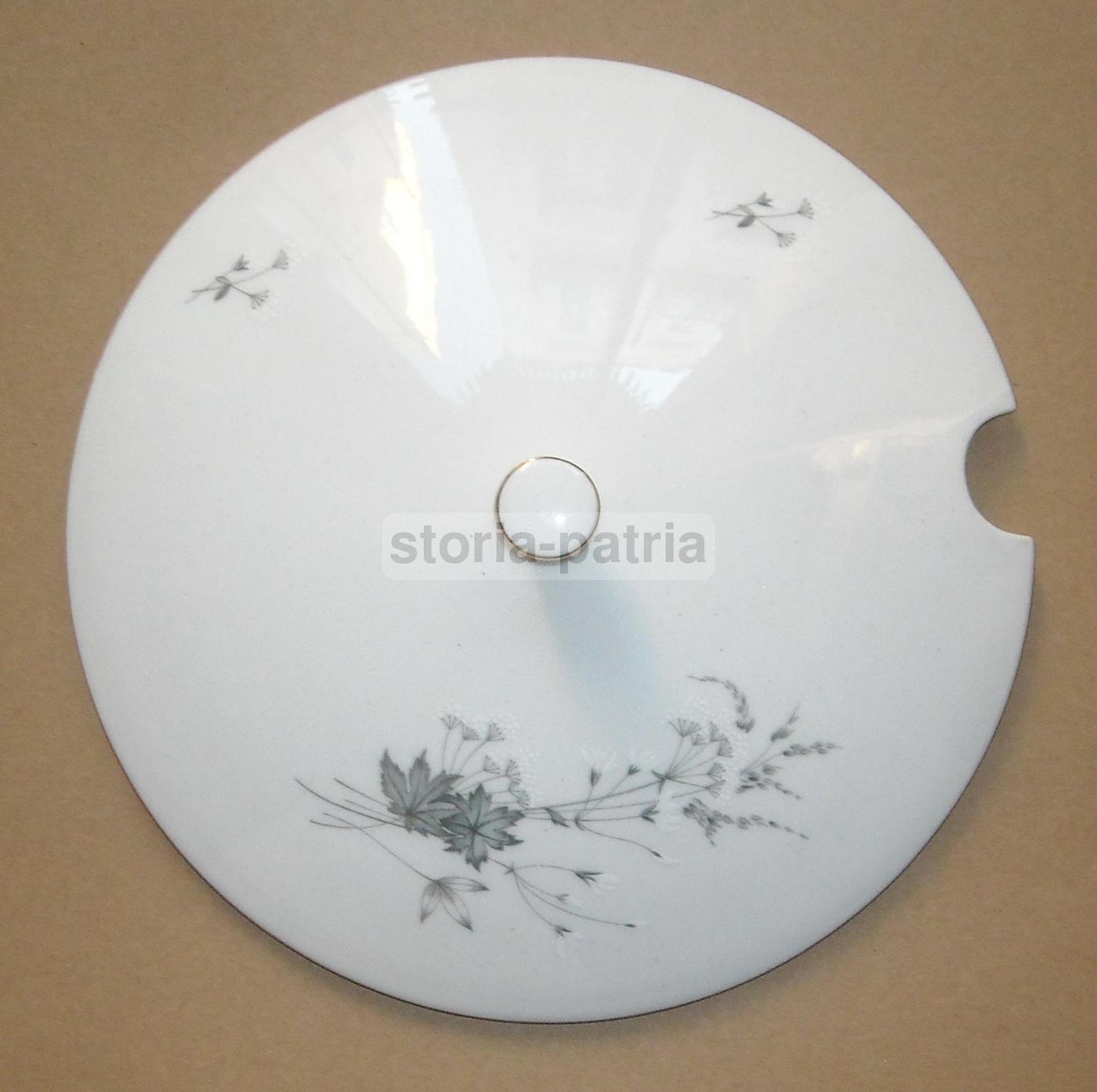 Zuppiera Porcellana Seltmann Weiden Bavaria Monika Decori Floreali