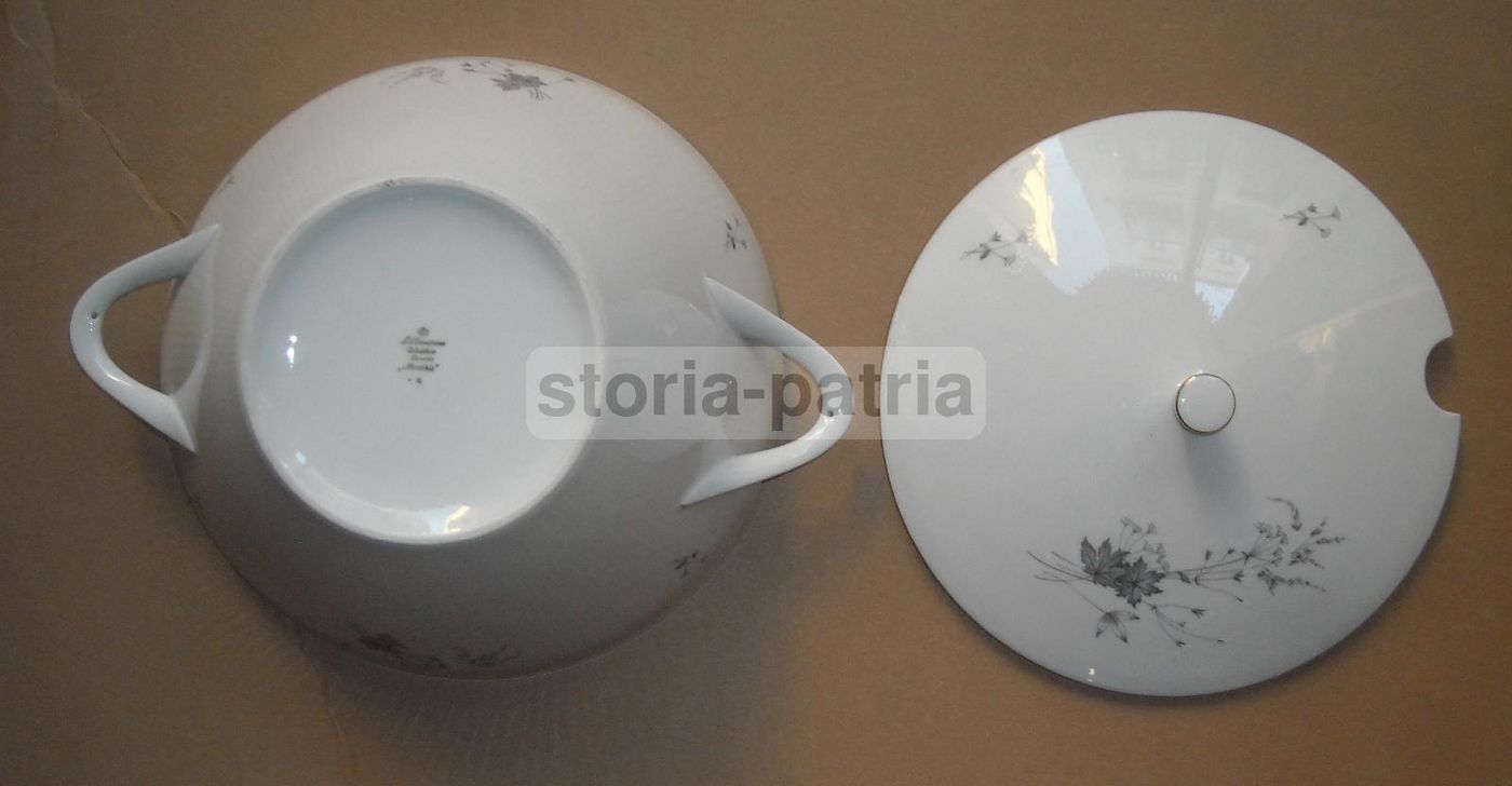 Zuppiera Porcellana Seltmann Weiden Bavaria Monika Decori Floreali