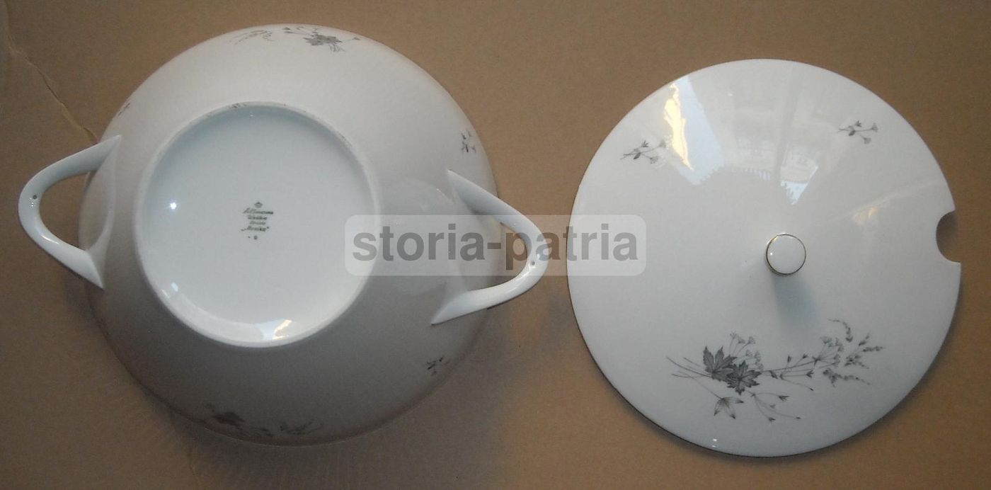 Zuppiera Porcellana Seltmann Weiden Bavaria Monika Decori Floreali