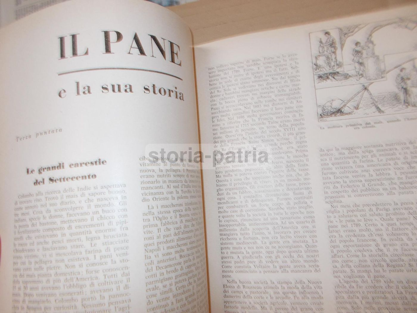 L'Alimentazione Italiana, Agosto 1961: Rivista Di Cucina E Gastronomia