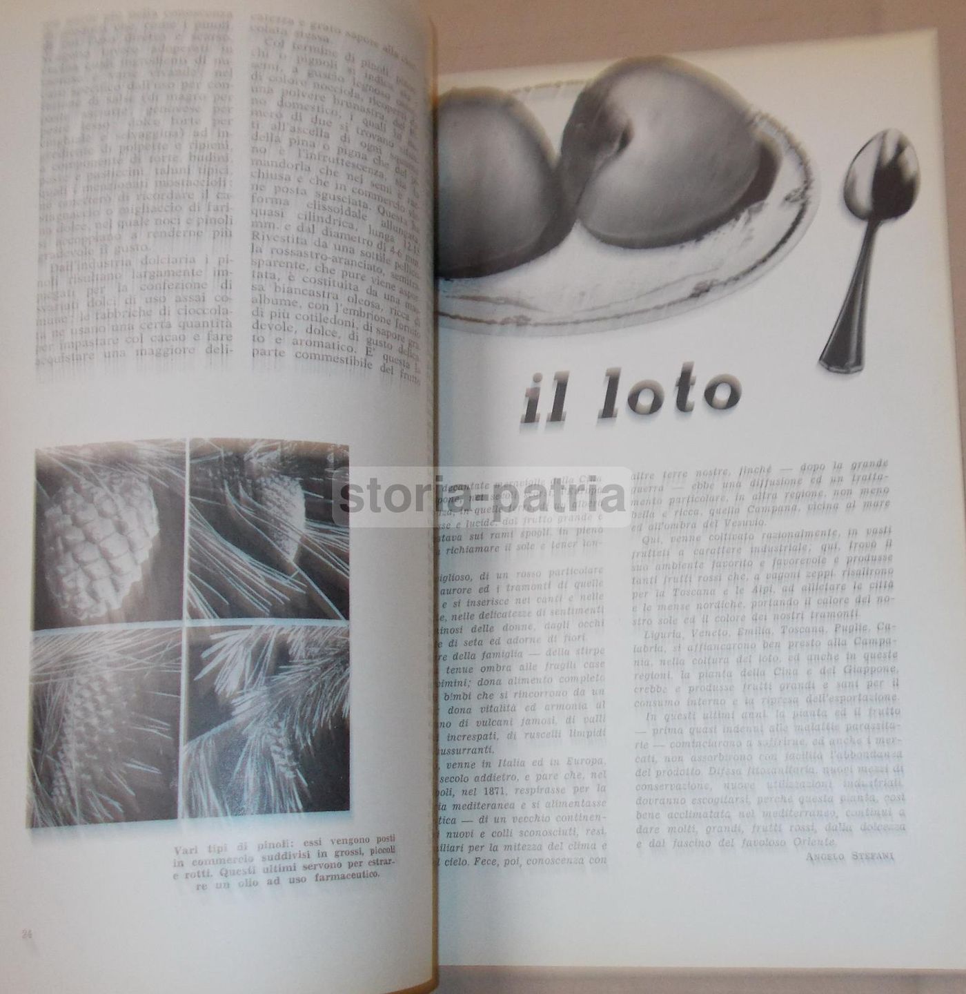L'Alimentazione Italiana: Rivista Mensile Di Educazione Alimentare, Dicembre 1960