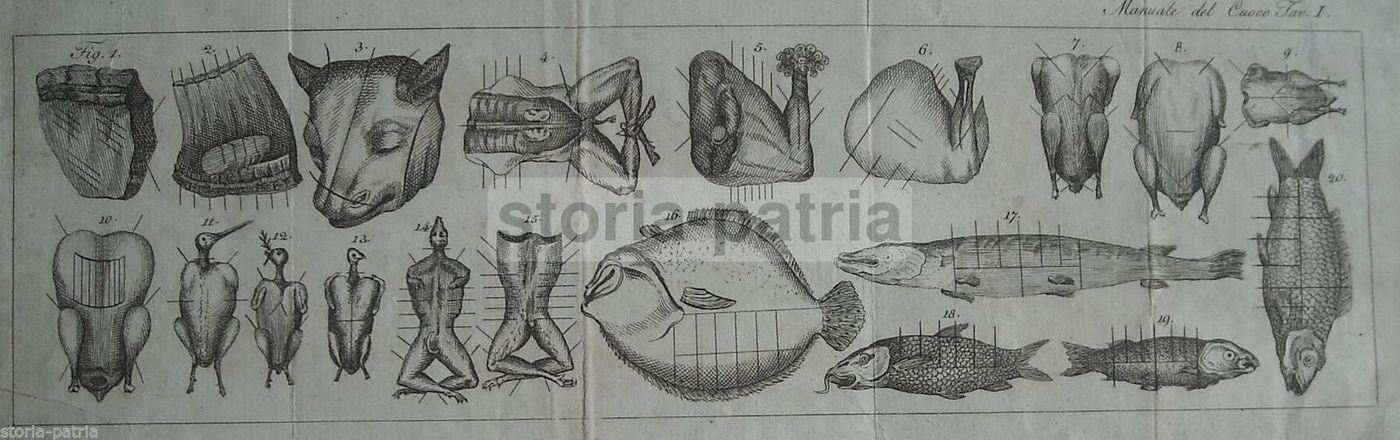Antica Incisione Cucina: Tagli Di Carne E Pesce, Fine XVIII Inizio XIX Secolo