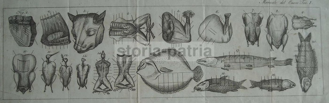 Antica Incisione Cucina: Tagli Di Carne E Pesce, Fine XVIII   Inizio XIX Secolo