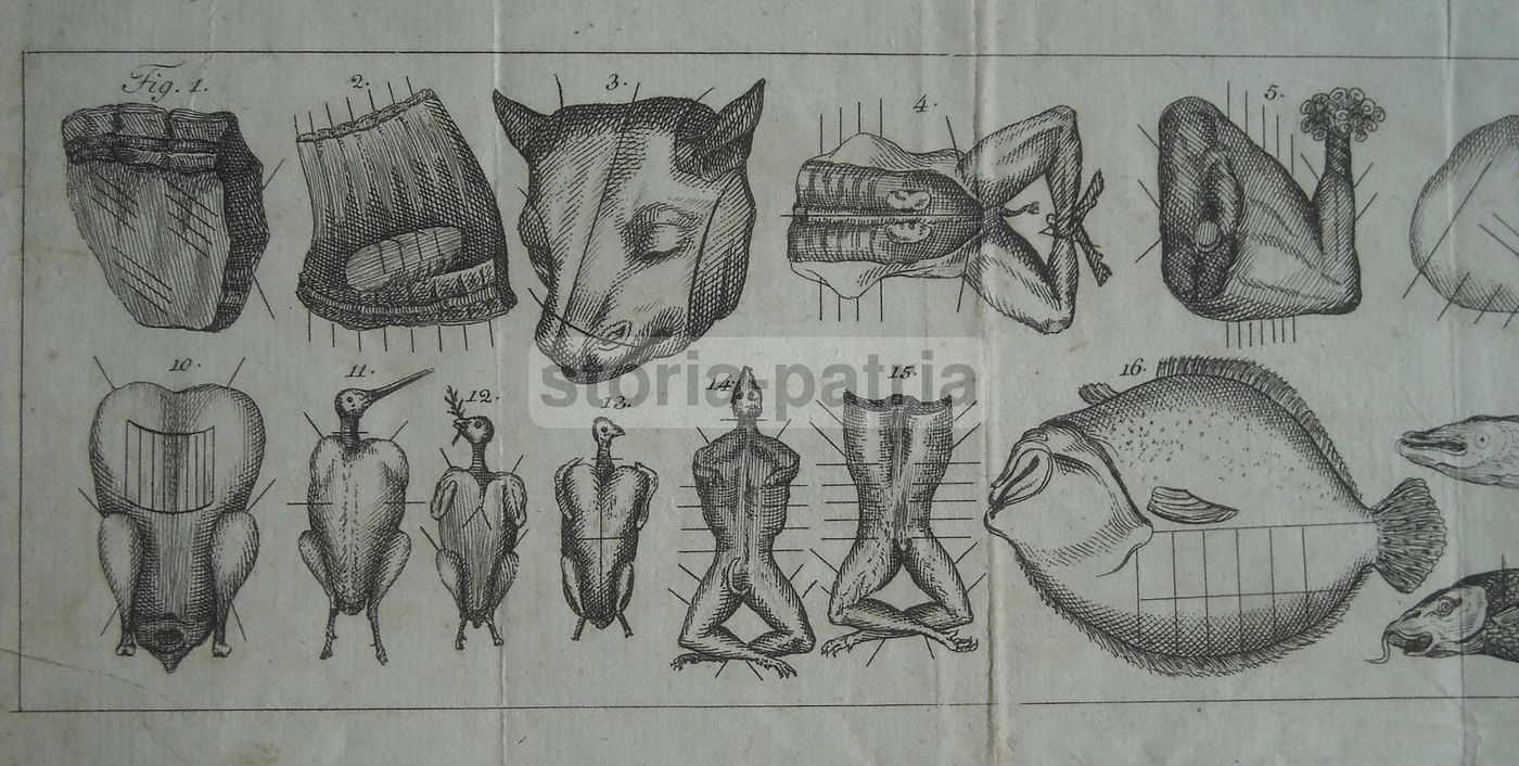 Antica Incisione Cucina: Tagli Di Carne E Pesce, Fine XVIII   Inizio XIX Secolo