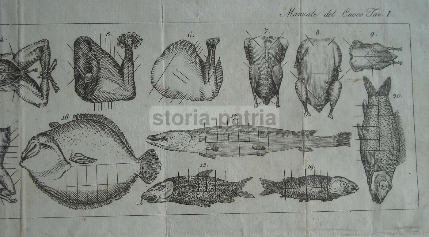 Antica Incisione Cucina: Tagli Di Carne E Pesce, Fine XVIII   Inizio XIX Secolo