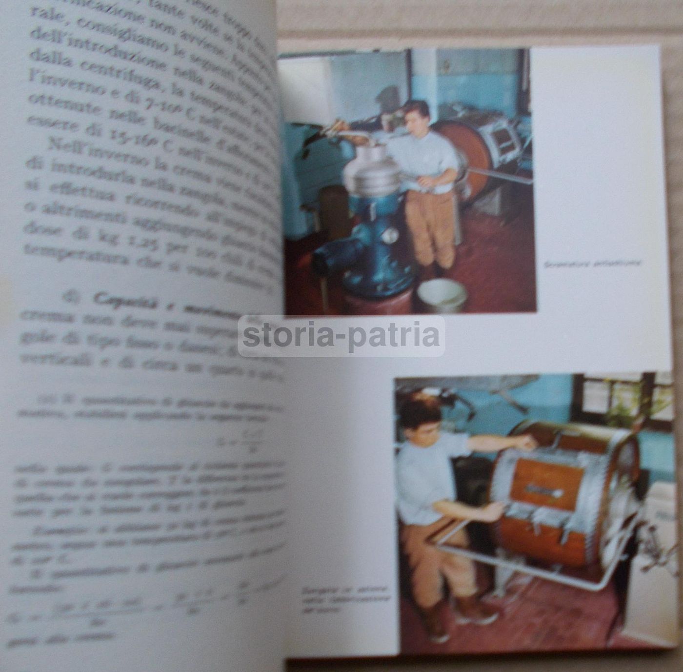 Il Casaro Di Alfredo Sartorio, Paravia 1961, Latte E Formaggi