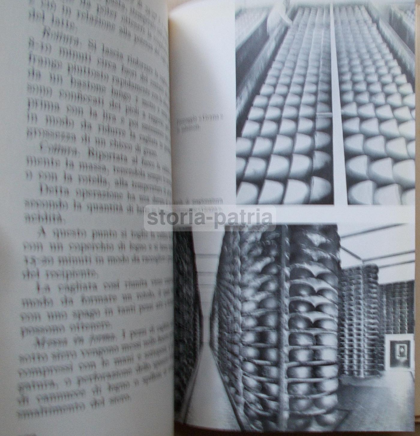 Il Casaro Di Alfredo Sartorio, Paravia 1961, Latte E Formaggi