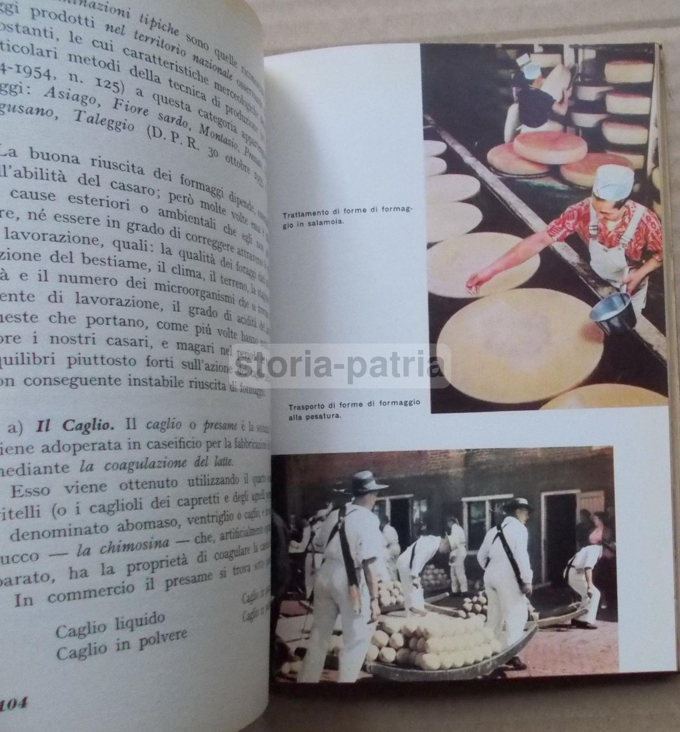 Il Casaro Di Alfredo Sartorio, Paravia 1961, Latte E Formaggi