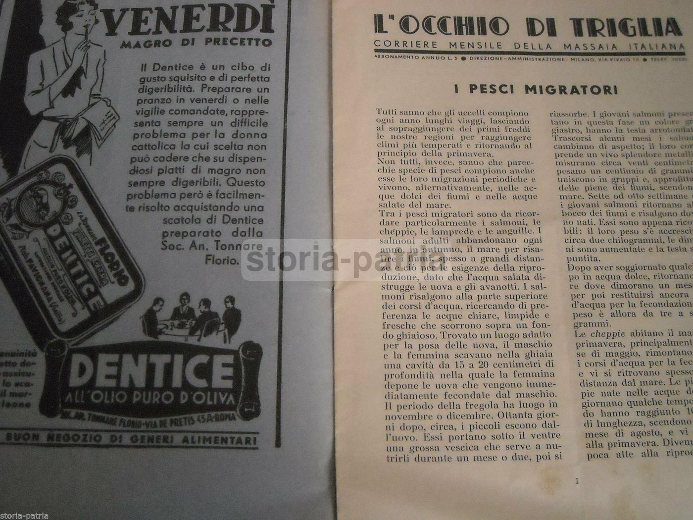 L'Occhio Di Triglia, 1935: Rivista Gastronomica E Ricette Di Pesce